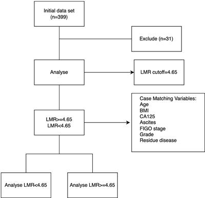 Lymphocyte-to-monocyte ratio after primary surgery is an independent prognostic factor for patients with epithelial ovarian cancer: A propensity score matching analysis